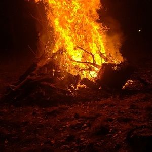 Meet your Posher, Samuel